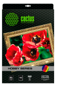 Холст CACTUS CS-CA326010 