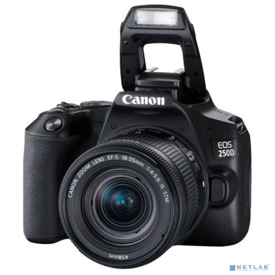 Canon EOS 250D черный {24.1Mpix EF-S 18-55mm f/1:4-5.6 IS STM 3&quot; 4K Full HD SDXC Li-ion}