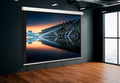 Экран Cactus Wallscreen CS-PSW-149x265, 265.7х149.4 см 16:9,  настенно-потолочный белый