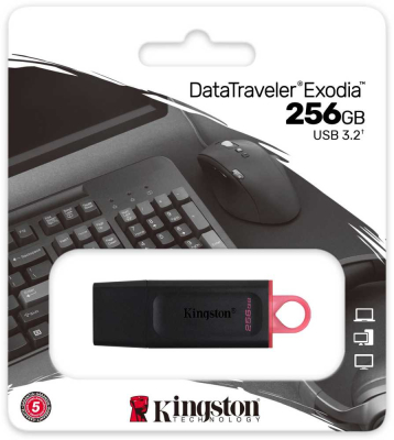 Kingston USB Drive 256Gb DataTraveler Exodia DTX/256GB USB3.1 черный/красный