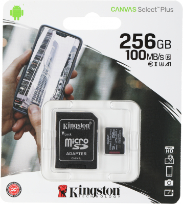 Micro SecureDigital 256Gb Kingston SDCS2/256GB {MicroSDXC Class 10 UHS-I, SD adapter}